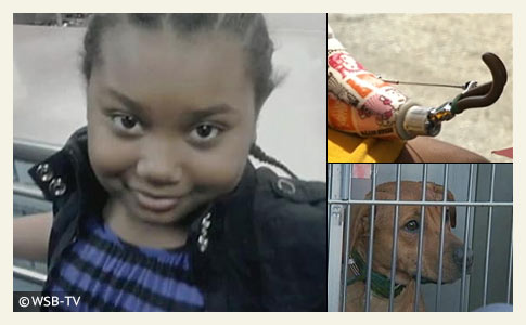 EBRSO: 7-year-old girl dies from injuries after pit bull attack; dog's  owner charged