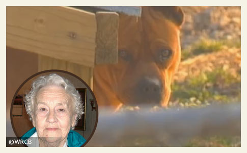 Mable McCallister killed by pit bull on New Years Eve