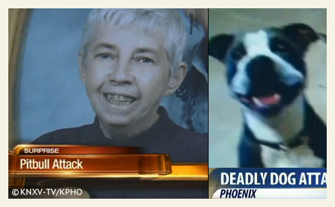 Mary Ann Hanula killed by pit bull