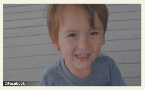 Logan Sheppard killed by uncle's two pit bulls