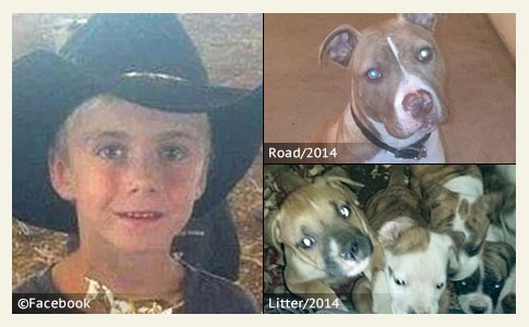 2015 Dog Bite Fatality: 7-Year Old Boy Killed by Two Family Dogs in College  Springs, Iowa - DogsBite Blog