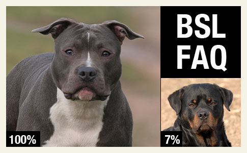 Announcement: DogsBite.org Releases New FAQ about Breed-Specific ...