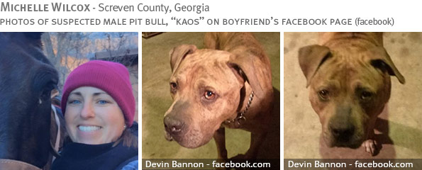Fatal pit bull attack - Michelle Wilcox