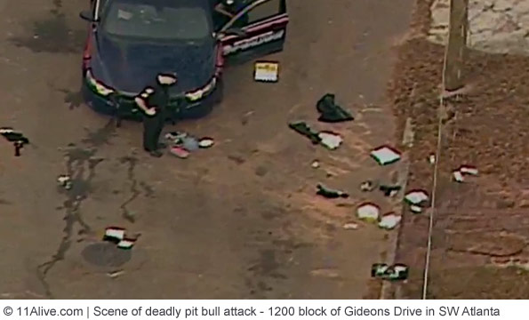 scene of deadly pit bull attack southwest atlanta