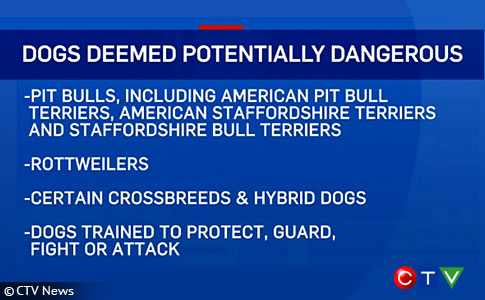 ban pit quebec bulls legislation province introduces government dogsbite breeds several wide other