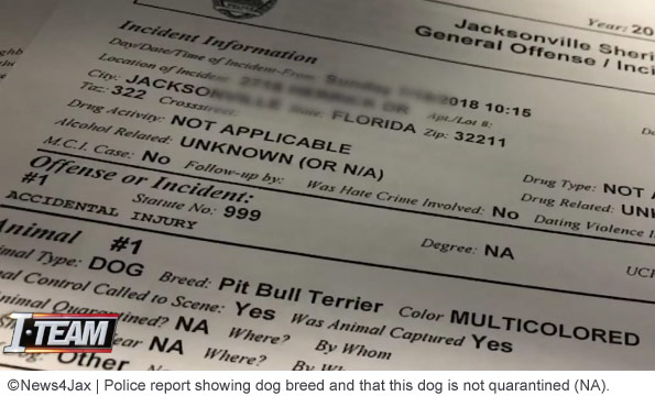 pit bull not quarantined life-threatening injuries