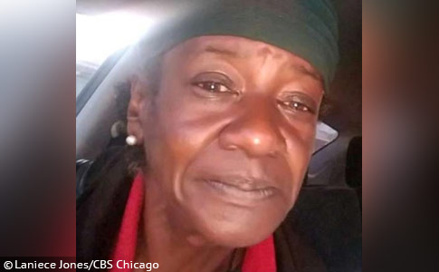 Karen Brown - large pit bull kills woman chicago