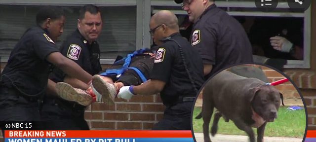 Dramatic owner attack by family pit bull in Mobile