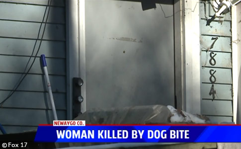 wheelchair bound woman pit bull kills