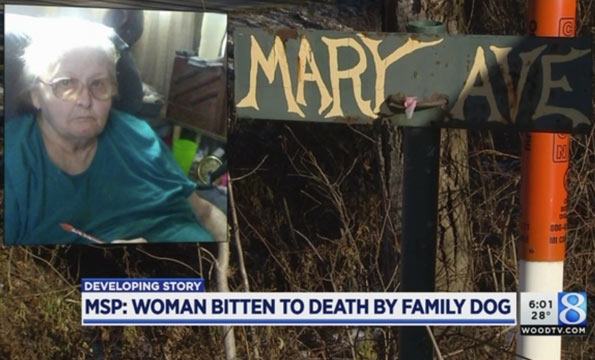 wheelchair bound woman killed by family pit bull