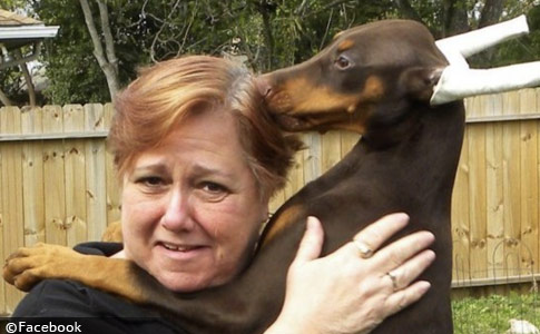 champion dobermans kill owner in Houston