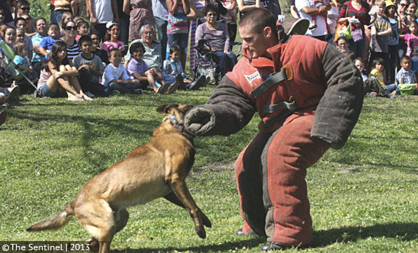retired police k-9 alex geiger criminal trial