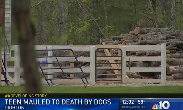 Dighton dog attack kills teenager