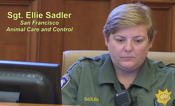 Conflict of interest San Francisco Animal Control Ellie Sadler