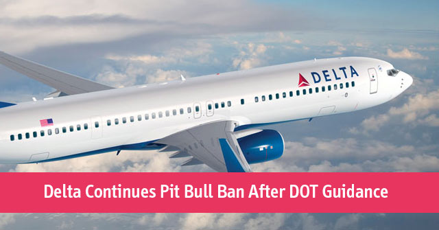 dogs on delta flights