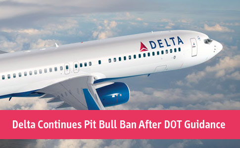 Delta continues pit bull ban