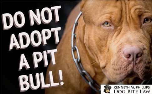 pitbull adoption centers near me