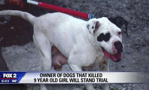 girl killed by pit bulls detroit