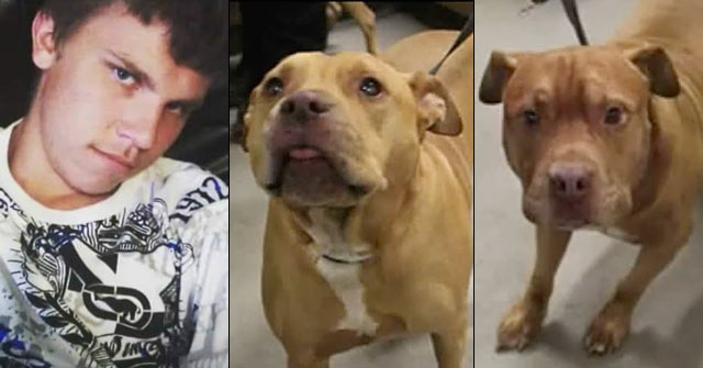 2019 Dog Bite Fatality: Man Found Dead, Covered in Blood Inside Modesto  Home, Two Pit Bulls Suspected - DogsBite Blog