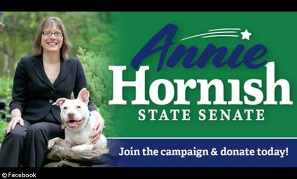 Failed state senate run for Annie Hornish