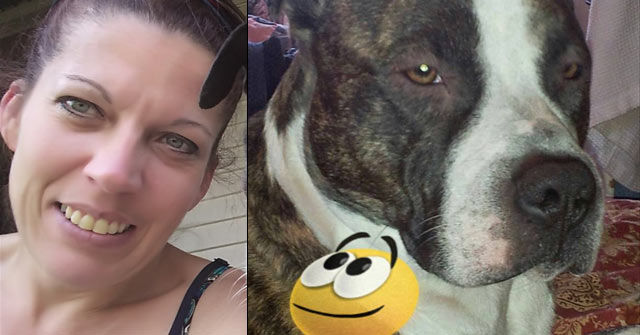 2019 Dog Bite Fatality: Pit Bull Kills 44-Year Old Female Owner In ...