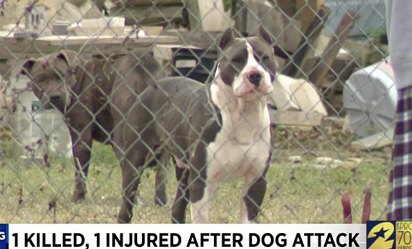 north houston dog attack