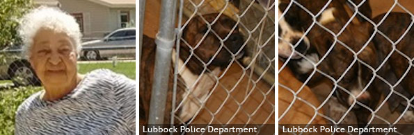 Johnnie Garner fatal pit bull attack, breed identification photograph