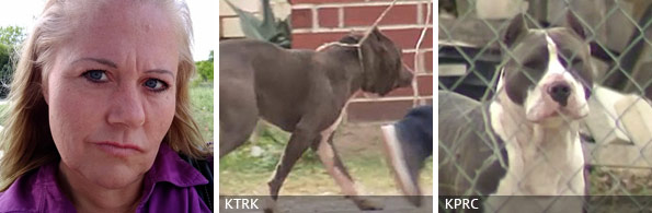 Medessa Ragsdale fatal pit bull attack, breed identification photograph