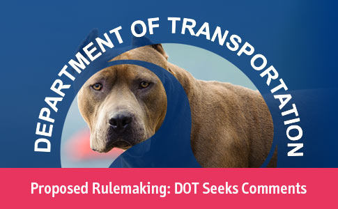 DOT seeks comments pit bulls breed restrictions