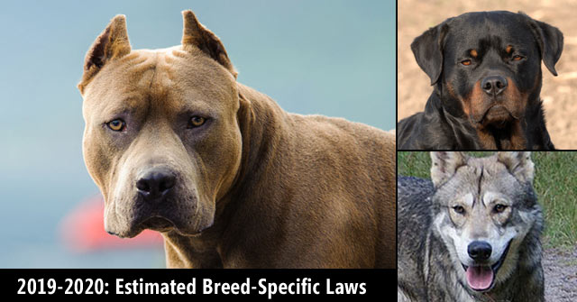 When did california ban breed specific legislation