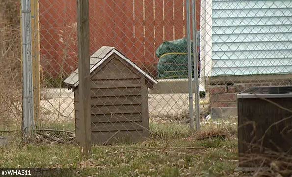 pit bull-mix killed an infant in Lafayette