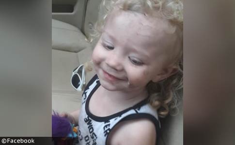 Jonah Jellison, pit bull kills toddler hunt county