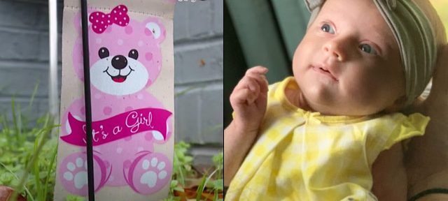 Hampton infant killed by dog
