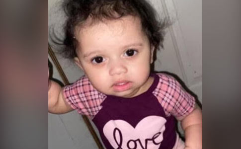 21 Dog Bite Fatality Pocket Bully Inflicts Bite To Head Killing Baby Girl In Springfield Illinois Dogsbite Blog