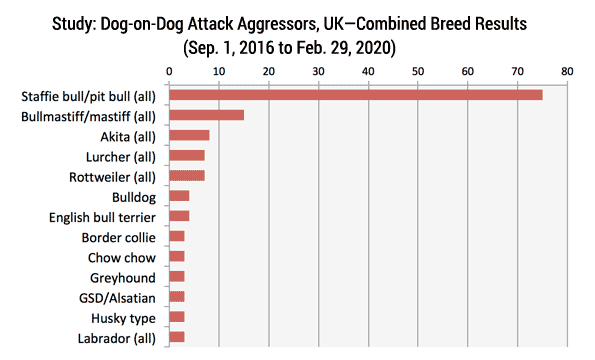 dog-on-dog attacks UK study