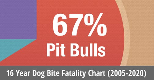 Chart - 16 years of us dog bite fatalities statistics, 2005 to 2020