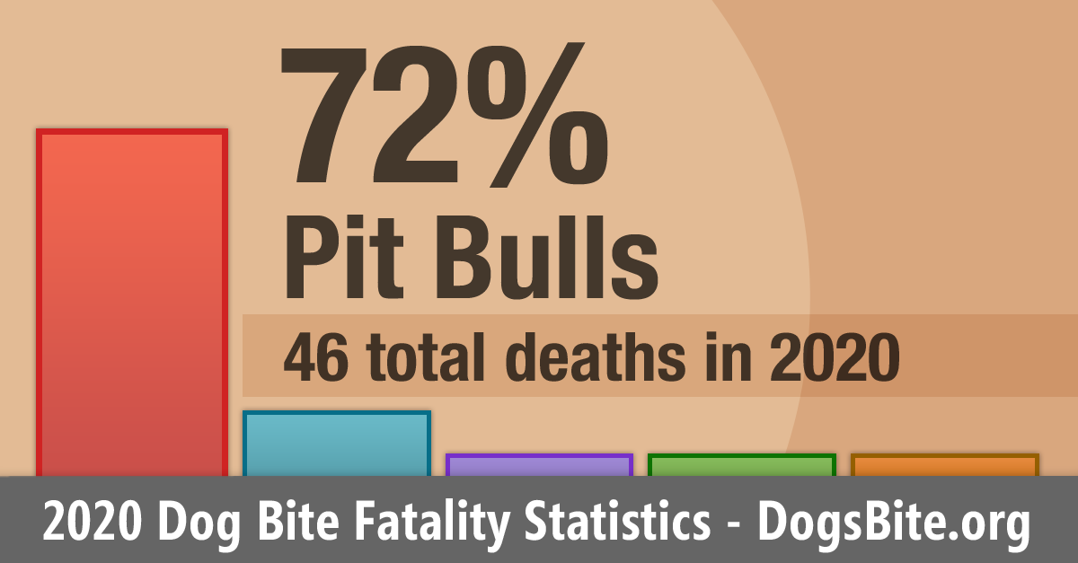 2020 dog bite fatality statistics