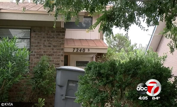 pair of pit bulls el paso kill woman