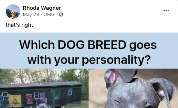 Rhoda Wagner, dog sitting pit bulls