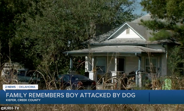 boy killed by dog in creek county