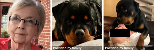 Sally Rogers fatal rottweiler attack, 2021 breed identification photograph
