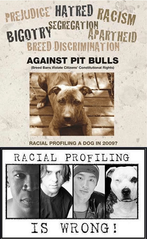 Fake Racism - Comparing Dog Breeds to Racial Profiling