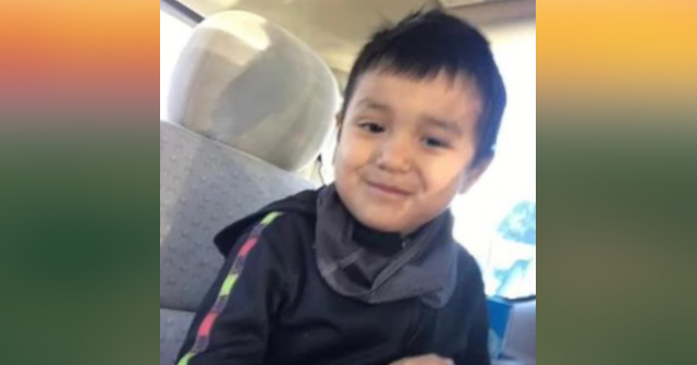 2022 Dog Bite Fatality: 6-Year Old Boy Killed by Dog on Spirit Lake ...