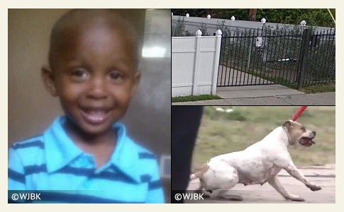 Xavier Strickland killed by pit bulls in Detroit