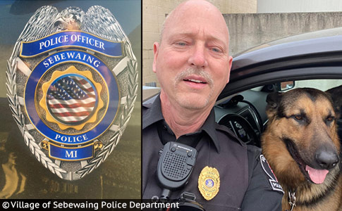 Sebewaing Police Chief seizes pit bull Lucifer