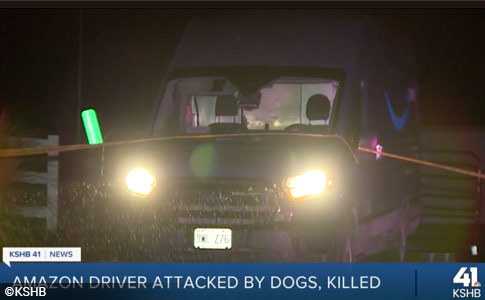 amazon driver attacked by dogs