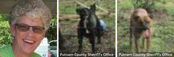Pamela Rock fatal pit bull attack, 2022 breed identification photograph