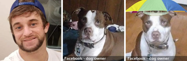 Rusty Burris fatal pit bull attack, 2022 breed identification photograph