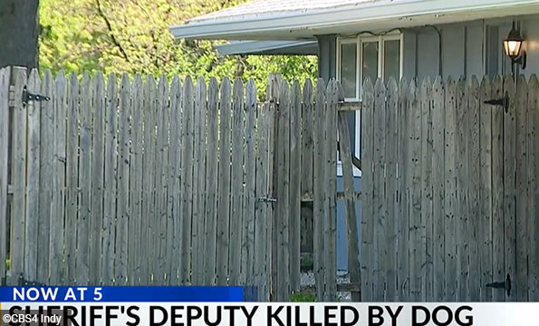Marion County deputy killed by pit bull while dog sitting