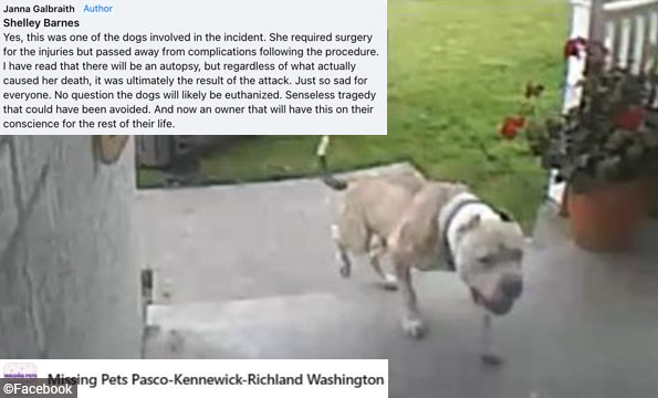 Kennewick woman dies after attack by pit bulls